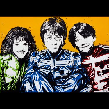 sgt potters harry potter mashup with the beatles