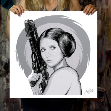 princess leia cross buffy mash up painting