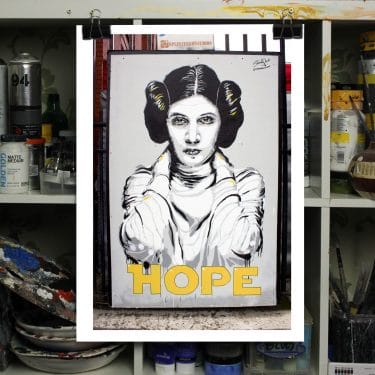princess leia hope mural print